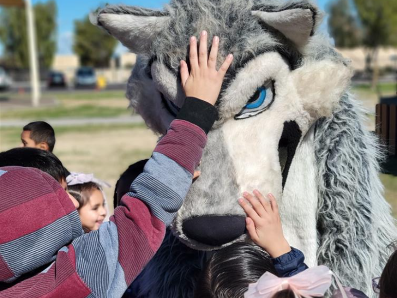 Scruffy the Chandler High Mascot with students.